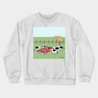 Little bull has a car with big horns on the hood Crewneck Sweatshirt
